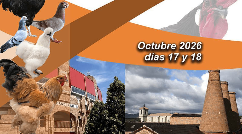adaorzoce 2026 valdemorillo