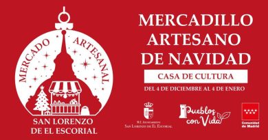 CARTEL-MERCADILLO-ARTESANAL_2026-BANNER