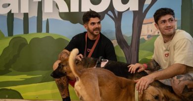 Adopta un Pana