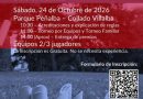 Cartel (6)