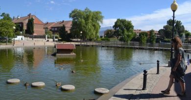 DSC_1059-scaled-e1784113122545