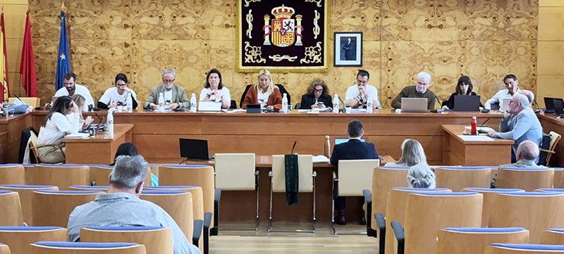 pleno-noviembre-interior-noticia