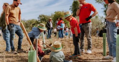 PLANTACION LAS ROZAS (4)