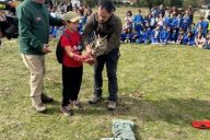 Mas-de-400-escolares-de-Moralzarzal-viven-una-emocionante-jornada-de-educacion-ambiental-en-la-Dehesa-con-la-suelta-de-aves-por-parte-del-CRAS.-Buho