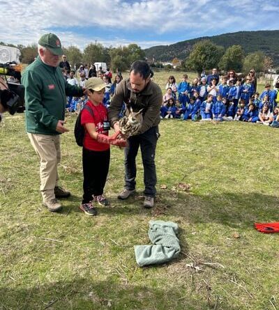 Mas-de-400-escolares-de-Moralzarzal-viven-una-emocionante-jornada-de-educacion-ambiental-en-la-Dehesa-con-la-suelta-de-aves-por-parte-del-CRAS.-Buho