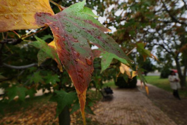 otoño