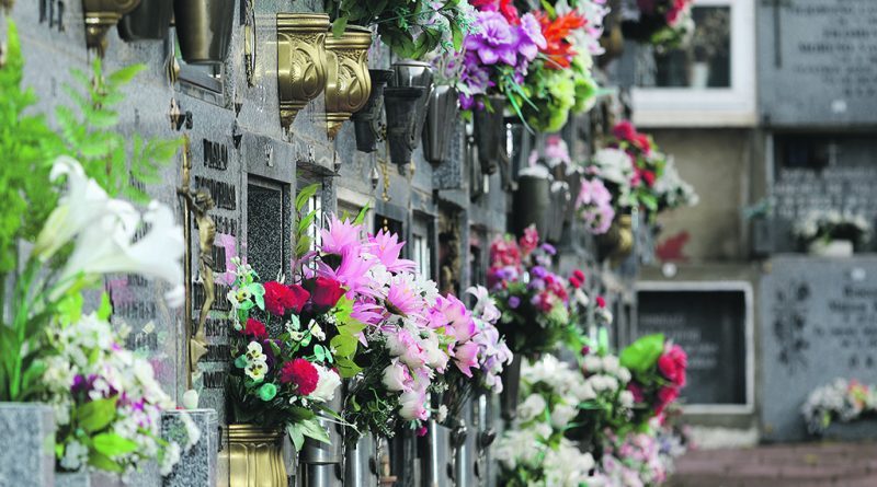 cementerio-7-800x445