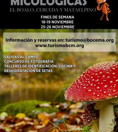 Cartel Jornadas Micológicas 2017