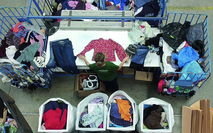 Humana_clasificación_2017