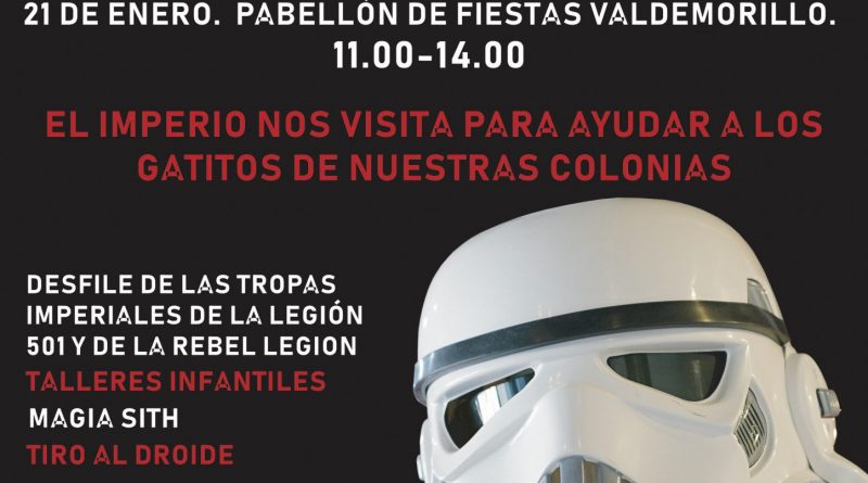 CARTEL STAR CATS (1)