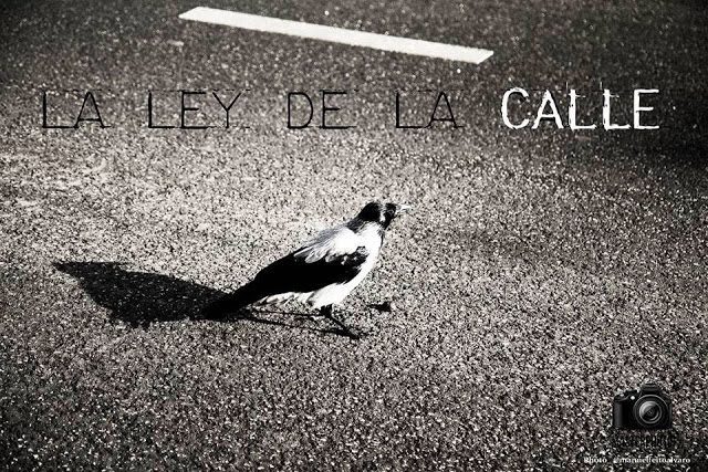 leycalle