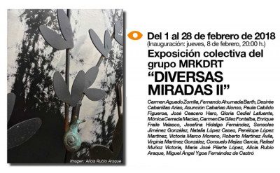 exposicion-diversas-miradas