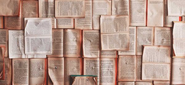 b0449167-987f-4eab-93f2-911fa8161afd