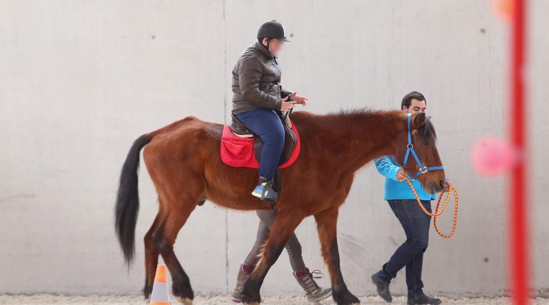 terapia ecuestre 2