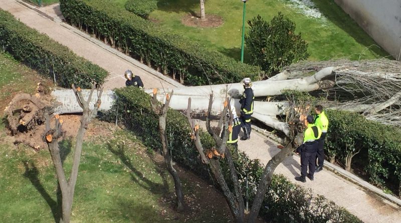 2e63572a-0a0c-4305-9254-6f6c5ac9959b