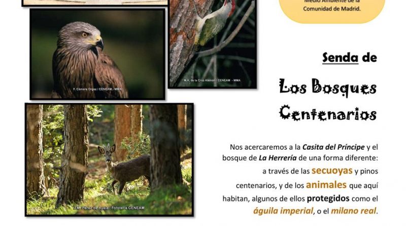 Senda3 Arboles centenarios - CARTEL-1