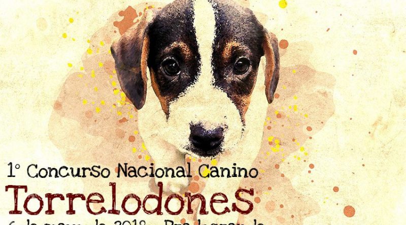 concurso-canino-torrelodones