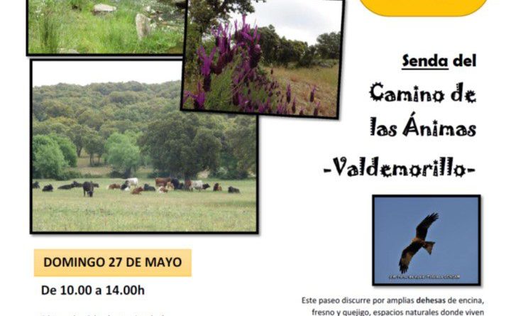 RUTA 27 MAYO (00000002)