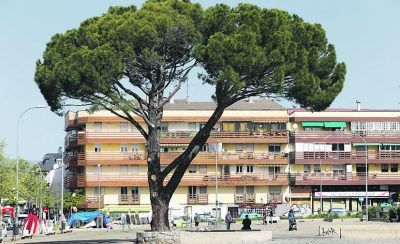 plaza d elos belgas (4)