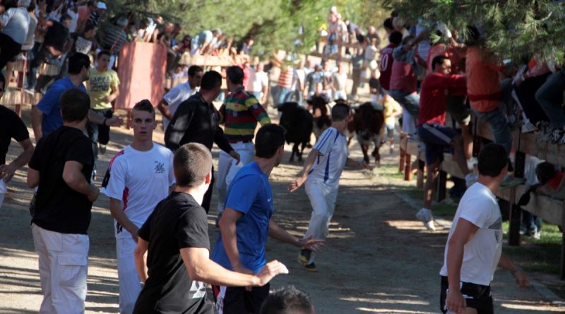 encierros-fiestas-galapagar