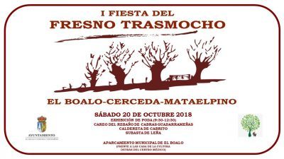 cartel(2)