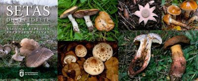 guias setas alpedrete