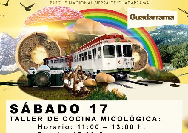 GENERICO-LIMPIO-BAJA