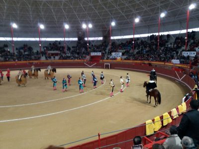plazatoros