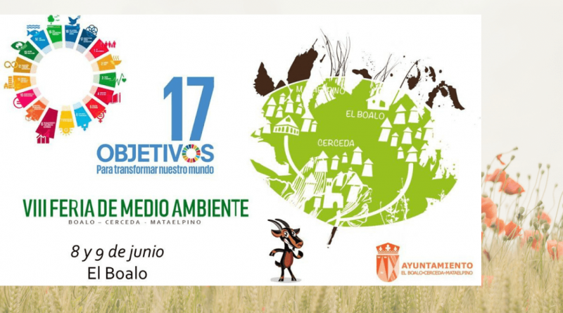 cartelRedes1.1