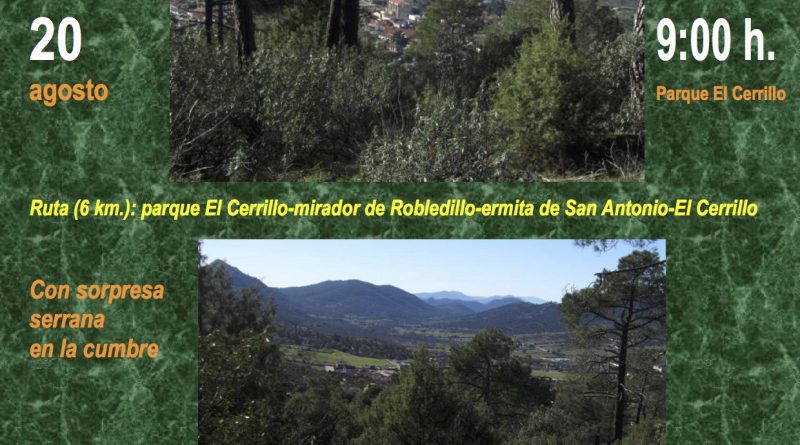 Subida al Bosque 2019.Cartelillo