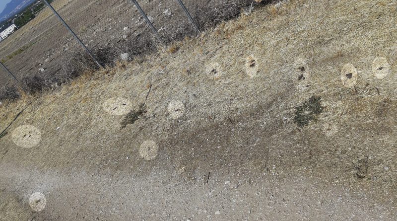 cacas dehesa 1