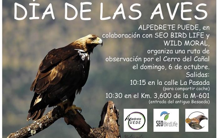 Cartel aves baja