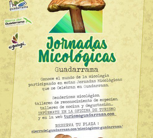 jornadas micologicas guadarrama