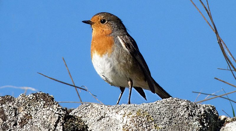 sendas-ambientales-septiembre