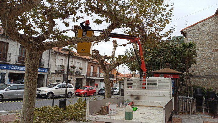 arbolado valdemorillo