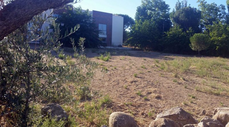 huerto valdemorillo 3