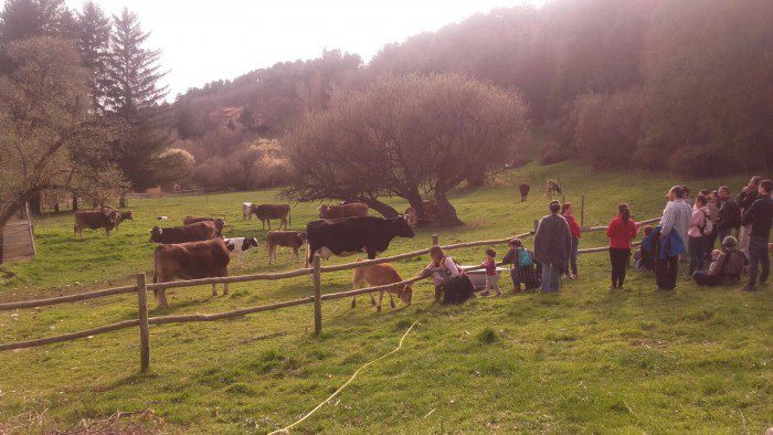 granja cercedilla