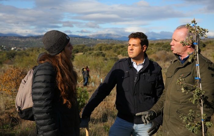 PLANTACIÓN ÁRBOLES 1