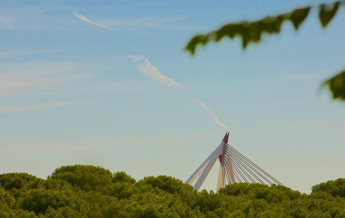 puente navalcarbon las rozas