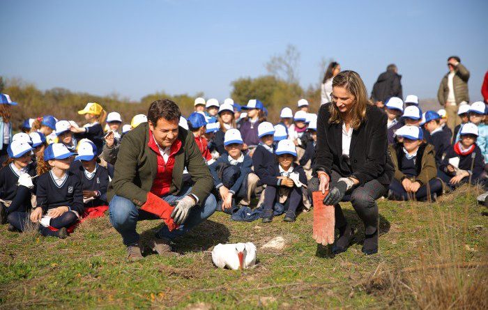 SUELTA DE CIGÜEÑA 1