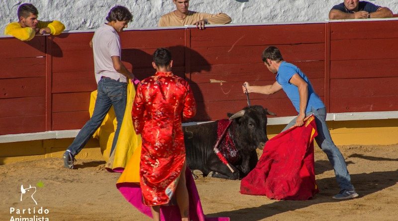 toros-cercedilla