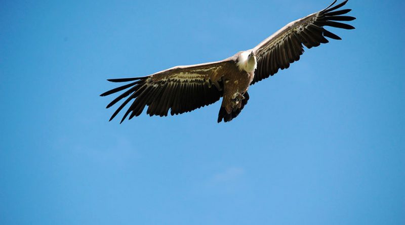 1de4aa95-fceb-45c2-b52f-ff23cf95d6f1