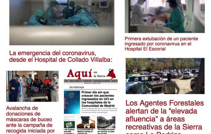 collage web