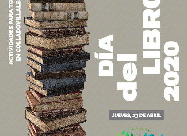 dia libro villalba