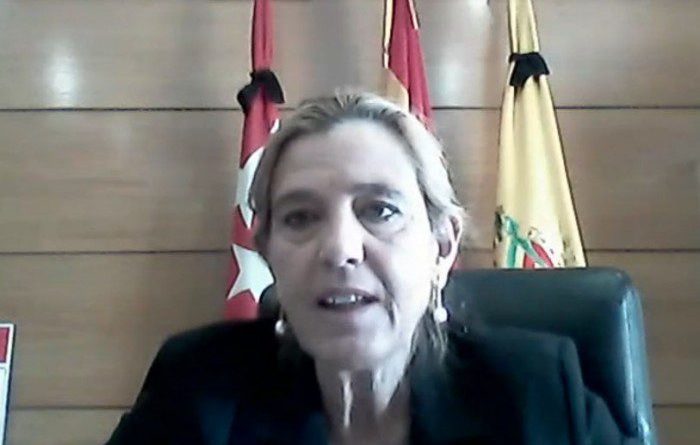 Mariola Vargas, alcaldesa de Collado Villalba, en el Pleno celebrado hoy