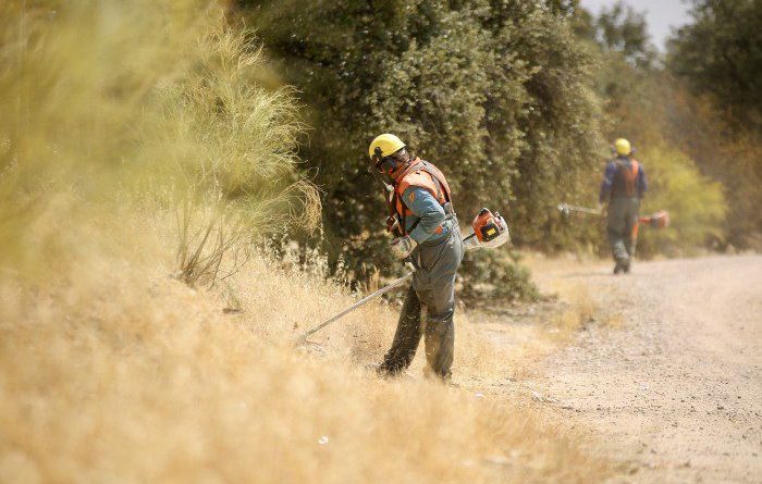campaña desbroces las rozas