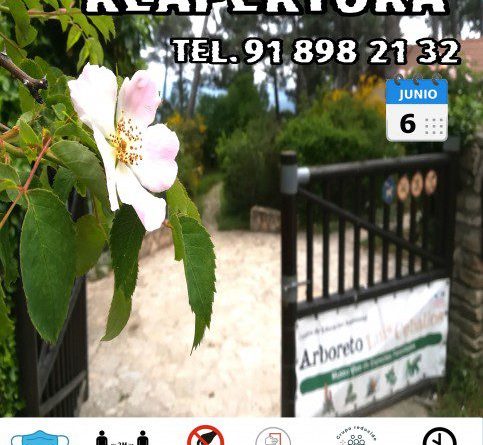 REAPERTURA DEL CENTRO 6 junio