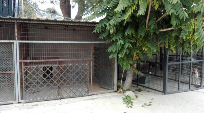 centro protección animal torrelodones