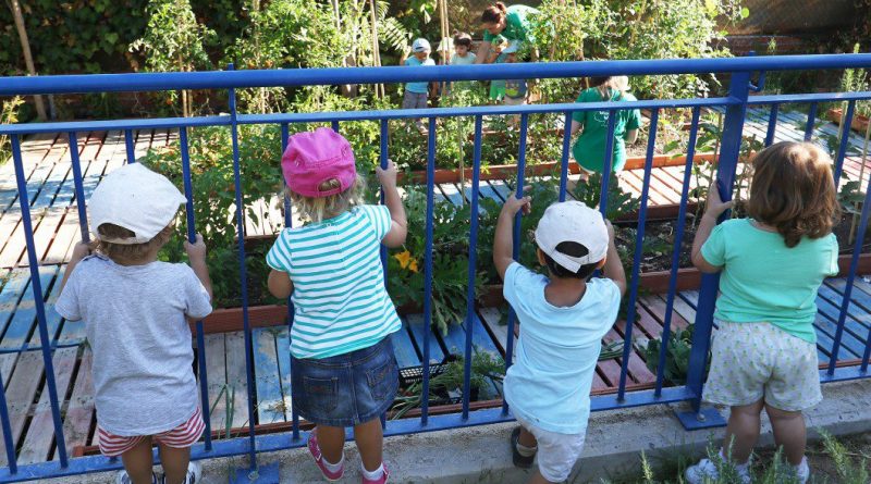 campamentos verano hoyo