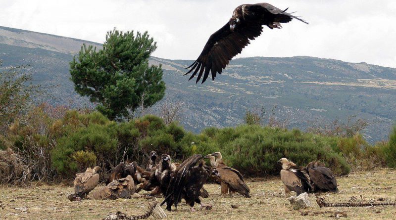 Imagen Comunidad de Madrid (Foto 29Javier de la Puente)